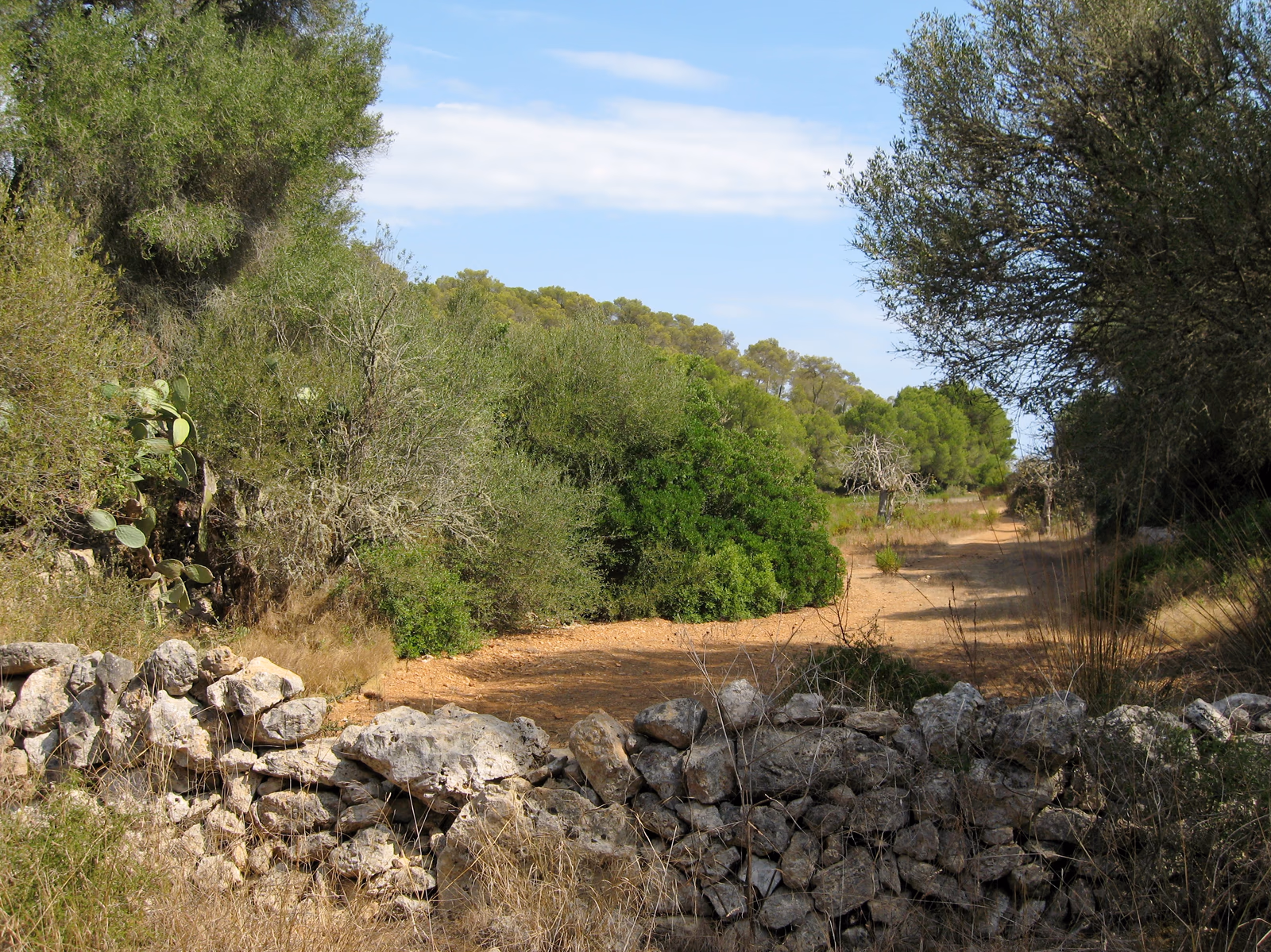 Küstenlandschaft im Naturpark Mondragó auf Mallorca