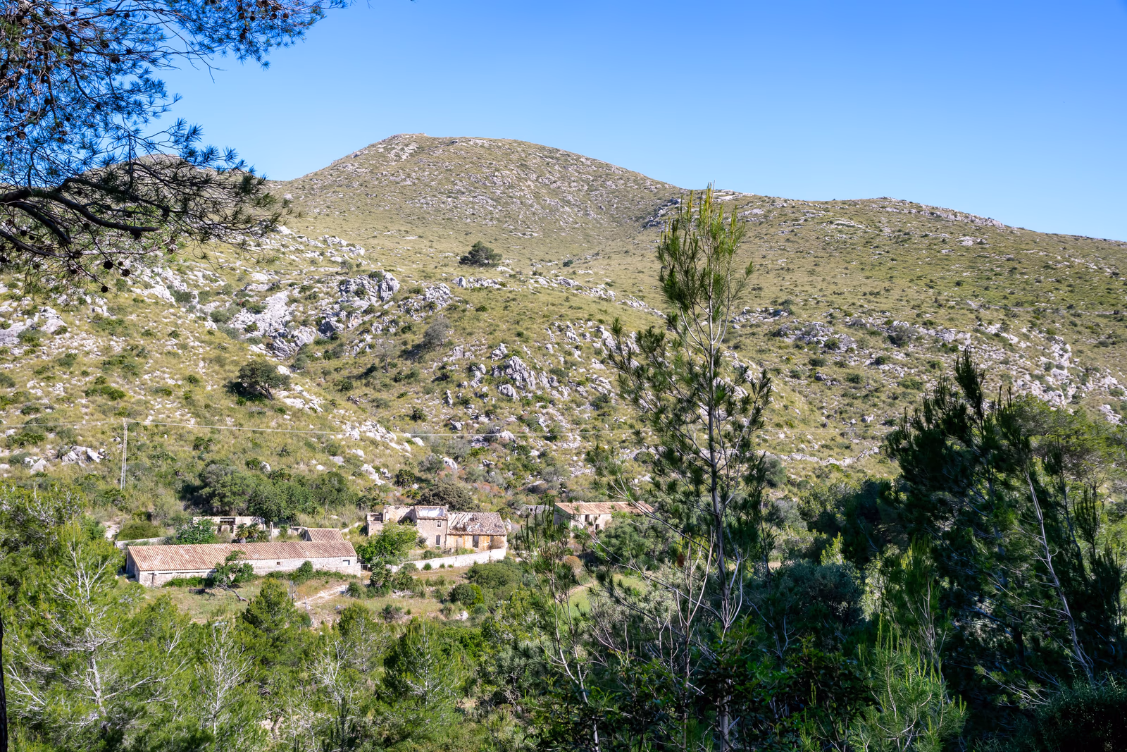 Landschaft im Naturpark Península de Llevant auf Mallorca