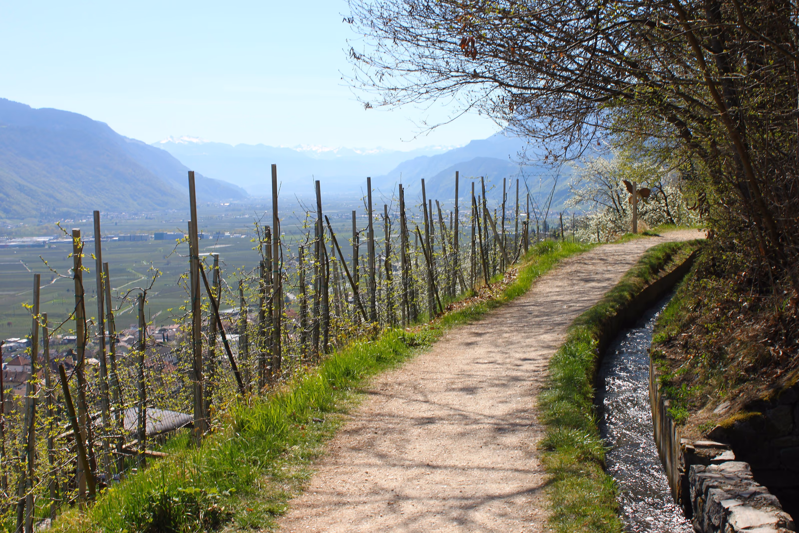 Marlinger Waalweg entlang eines Bewässerungskanals mit Blick ins Etschtal