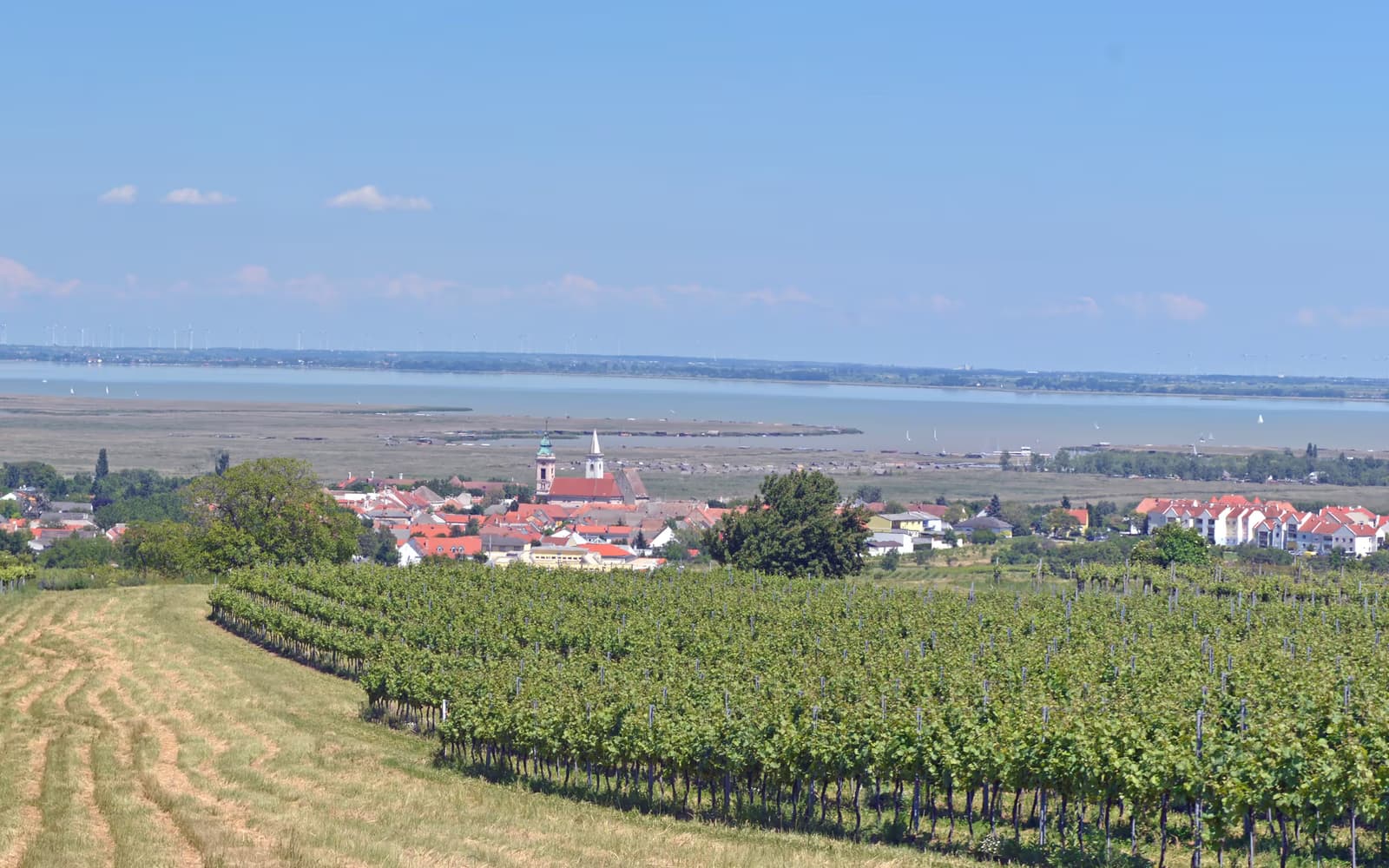 Blick über Rust, Weinberge und den Neusiedler See