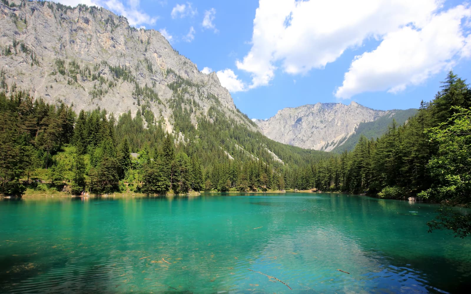 Grüner See bei Tragöß mit türkisfarbenem Wasser, Wald und Felsbergen