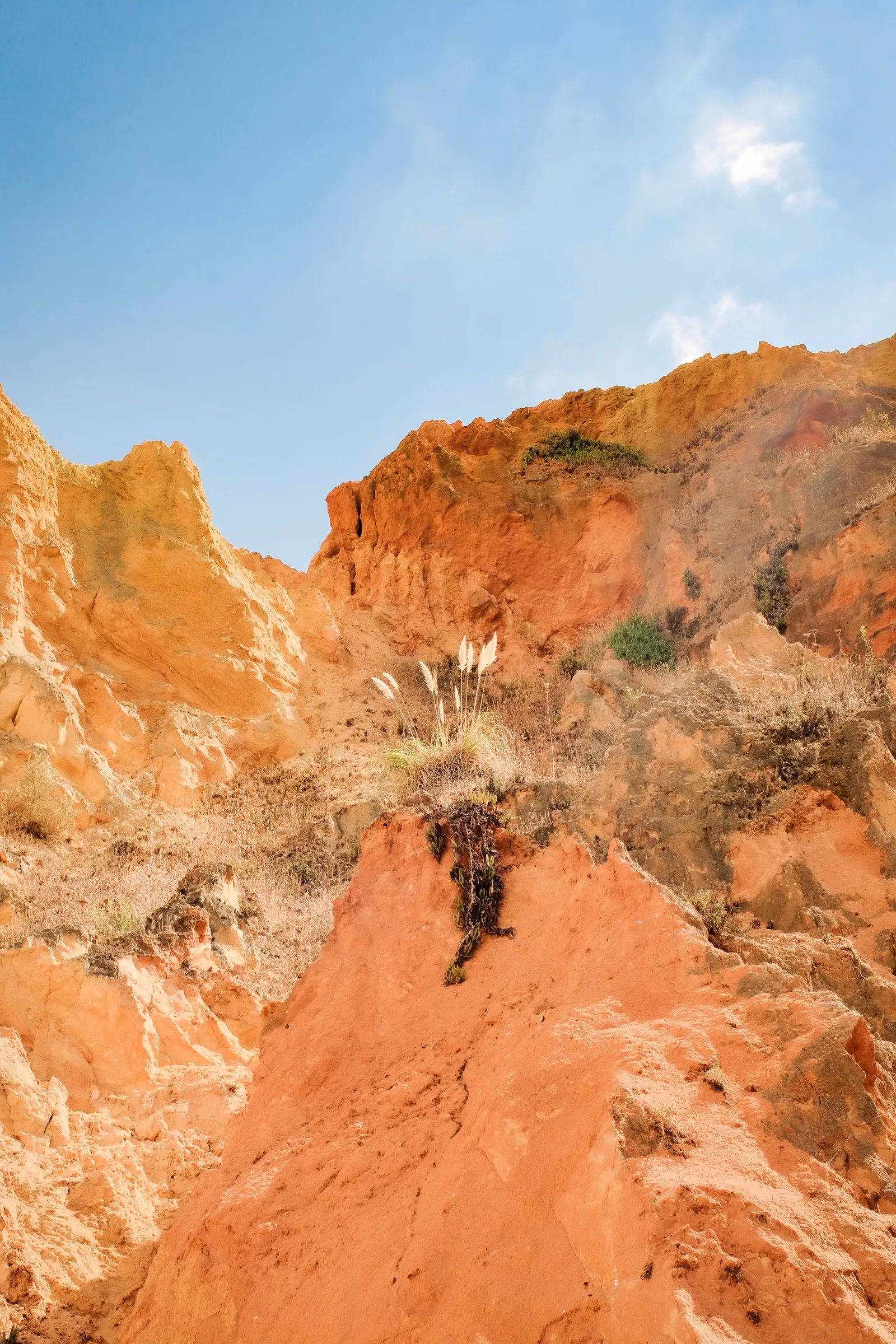 Ockerfarbene Klippenlandschaft im Faro District an der Algarve