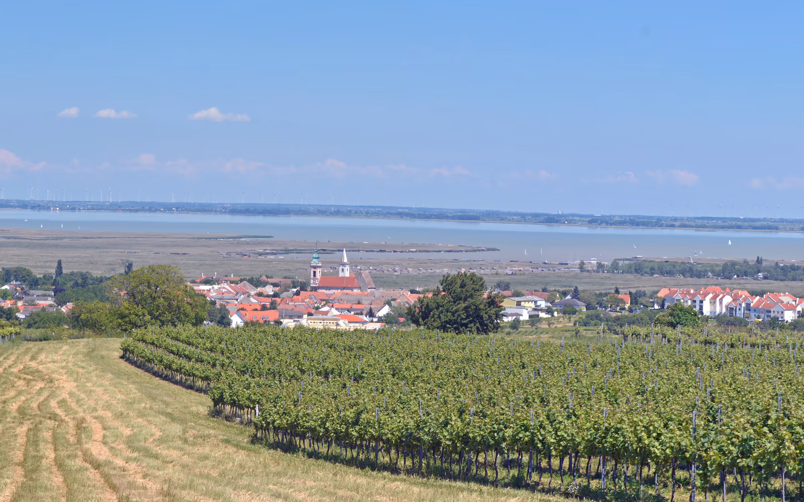 Blick über Rust, Weinberge und den Neusiedler See