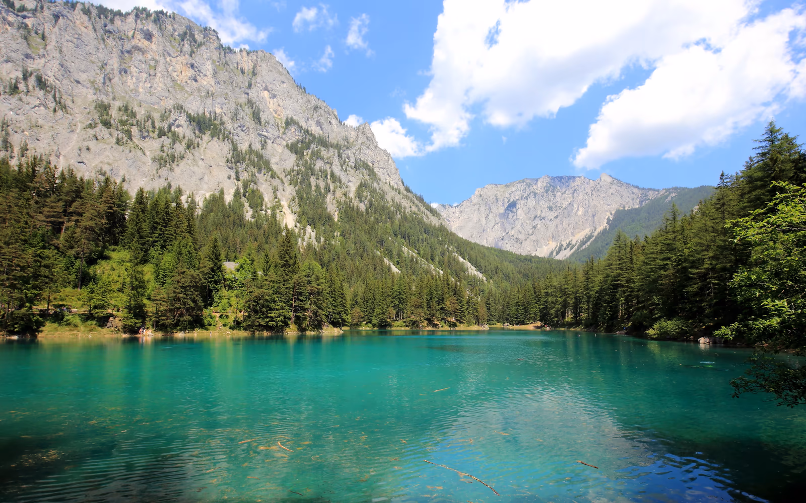Grüner See bei Tragöß mit türkisfarbenem Wasser, Wald und Felsbergen